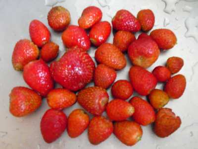 "Erste Ernte fr das Erdbeerfest in Grafschaft Bengen 2011"